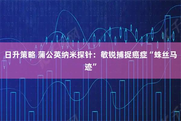 日升策略 蒲公英纳米探针：敏锐捕捉癌症“蛛丝马迹”