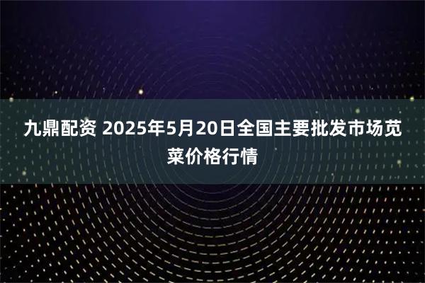 九鼎配资 2025年5月20日全国主要批发市场苋菜价格行情