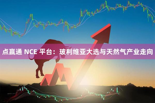 点赢通 NCE 平台：玻利维亚大选与天然气产业走向