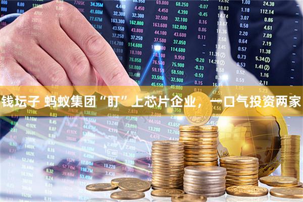 钱坛子 蚂蚁集团“盯”上芯片企业,一口气投资两家