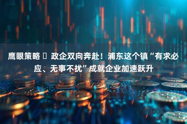鹰眼策略 ​政企双向奔赴！浦东这个镇“有求必应、无事不扰”成就企业加速跃升